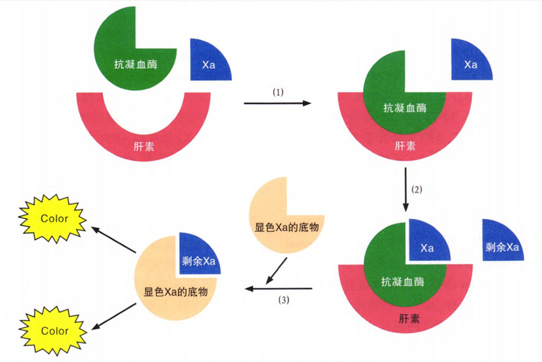 國產(chǎn)抗Xa質(zhì)量如何？多中心臨床研究來告訴你！